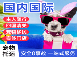 贵阳龙洞堡机场邮寄国际宠物托运 【国